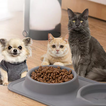 Silicone Pet Food Bowl