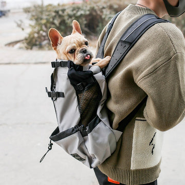 Pet Backpack