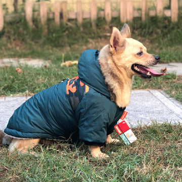 Pet Warm Traction Rope Coat