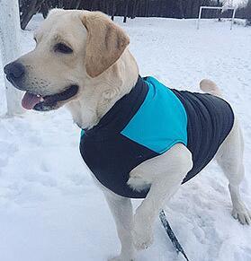 Pet Winter Outdoor Vest