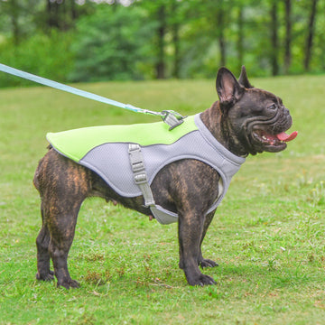 Breathable Sun-proof Pet vest
