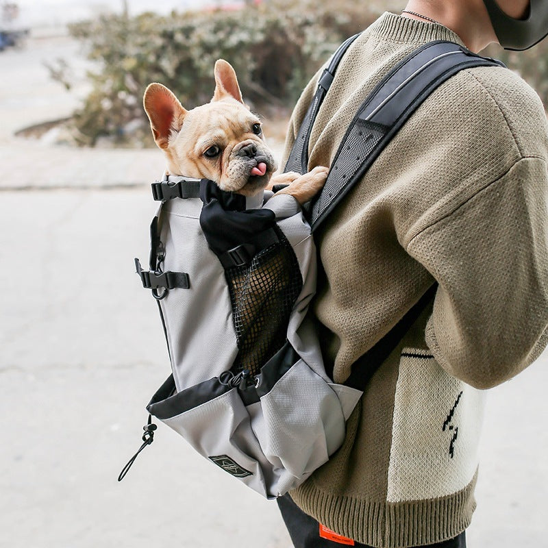 Pet Backpack
