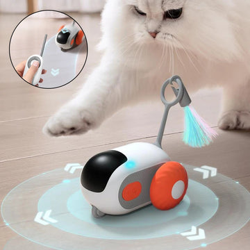 Smart Interactive Pet Toy