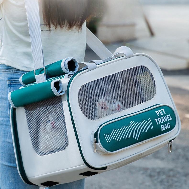 Collapsible Pet Travel Carrier Bag